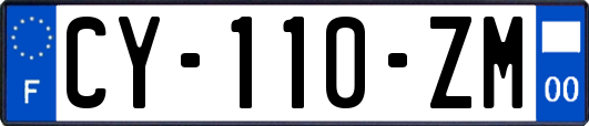 CY-110-ZM