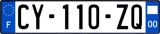 CY-110-ZQ