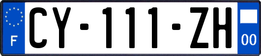 CY-111-ZH