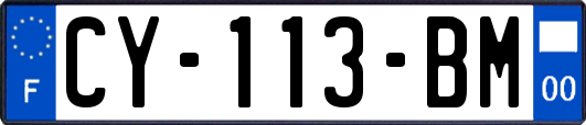 CY-113-BM