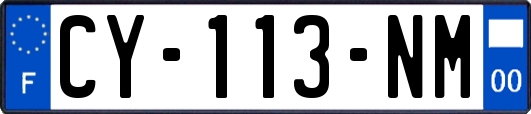 CY-113-NM