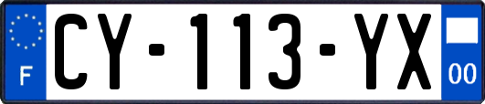 CY-113-YX