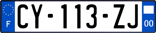 CY-113-ZJ