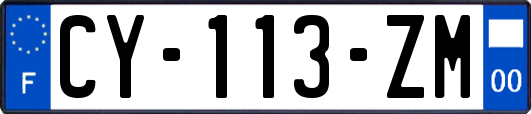 CY-113-ZM