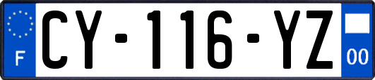 CY-116-YZ