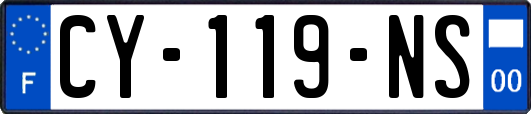 CY-119-NS