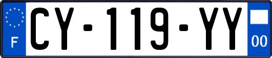 CY-119-YY