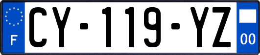 CY-119-YZ
