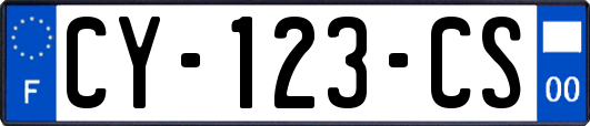 CY-123-CS