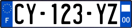 CY-123-YZ