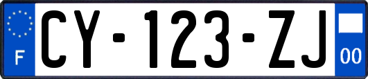 CY-123-ZJ