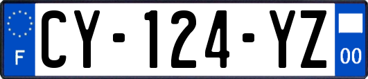 CY-124-YZ