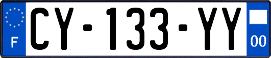 CY-133-YY