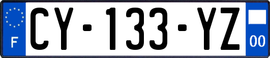 CY-133-YZ