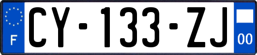 CY-133-ZJ