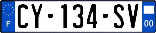 CY-134-SV