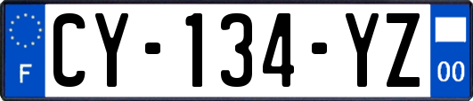 CY-134-YZ