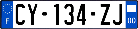 CY-134-ZJ