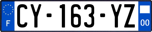 CY-163-YZ