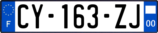 CY-163-ZJ