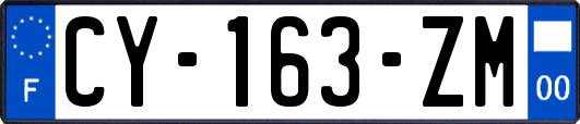 CY-163-ZM