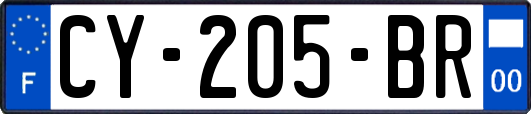 CY-205-BR