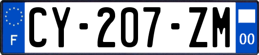 CY-207-ZM