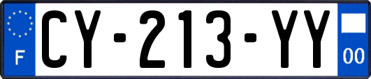 CY-213-YY