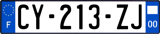 CY-213-ZJ