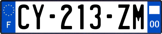 CY-213-ZM
