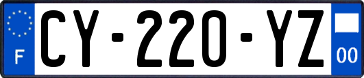 CY-220-YZ