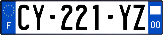 CY-221-YZ