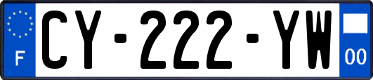 CY-222-YW