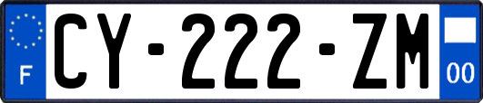 CY-222-ZM
