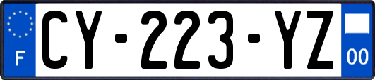 CY-223-YZ