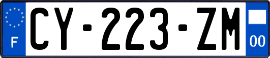 CY-223-ZM