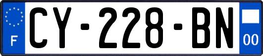CY-228-BN
