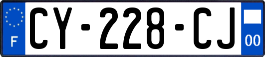 CY-228-CJ