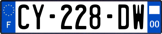 CY-228-DW