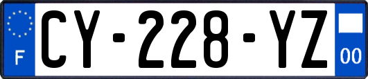 CY-228-YZ