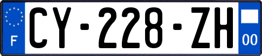 CY-228-ZH