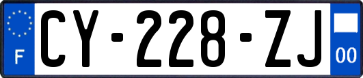 CY-228-ZJ