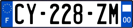 CY-228-ZM