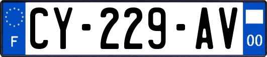 CY-229-AV