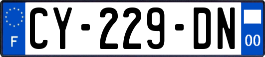 CY-229-DN