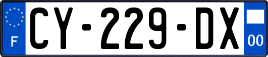 CY-229-DX
