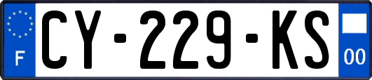 CY-229-KS