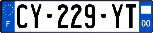 CY-229-YT