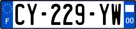 CY-229-YW