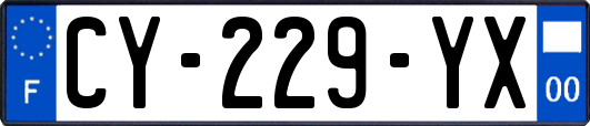 CY-229-YX